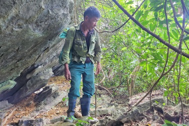 Huy động chó săn vào rừng tìm người đàn ông đi bắt ốc mất tích 10 ngày