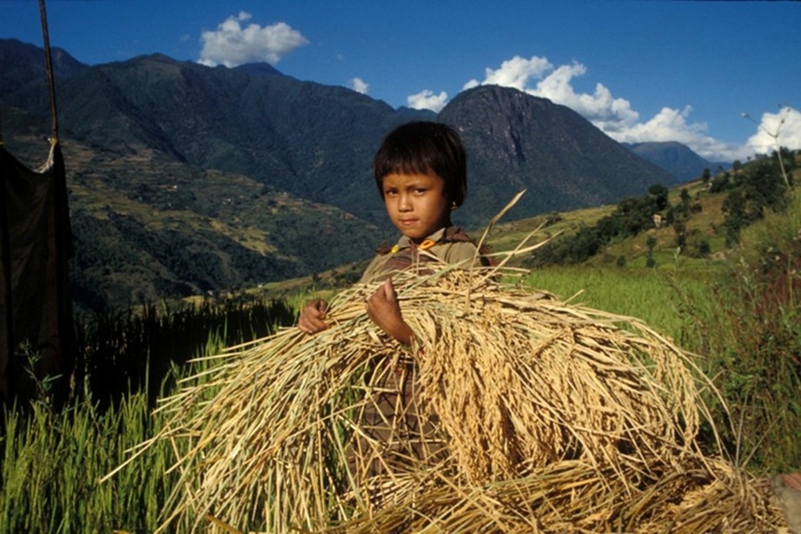 Lao động trẻ em nông thôn: Cần giải pháp cấp bách, toàn diện - 1 Lao động trẻ em nông thôn: Cần giải pháp cấp bách, toàn diện - 1
