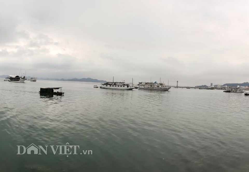 Hàng nghìn tỷ nổi giữa vịnh Hạ Long, chủ tàu như ngồi trên đống lửa - 5 Hàng nghìn tỷ nổi giữa vịnh Hạ Long, chủ tàu như ngồi trên đống lửa - 5