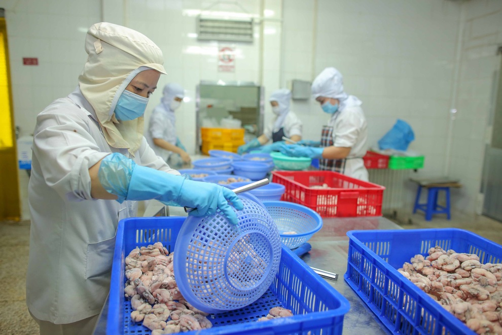 Đi làm trở lại, người lao động tại TPHCM ứng phó như thế nào với 4 xanh? - 1 Đi làm trở lại, người lao động tại TPHCM ứng phó như thế nào với 4 xanh? - 1