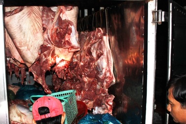 Bắt giữ xe tải chở 600 kg thịt heo không qua kiểm dịch