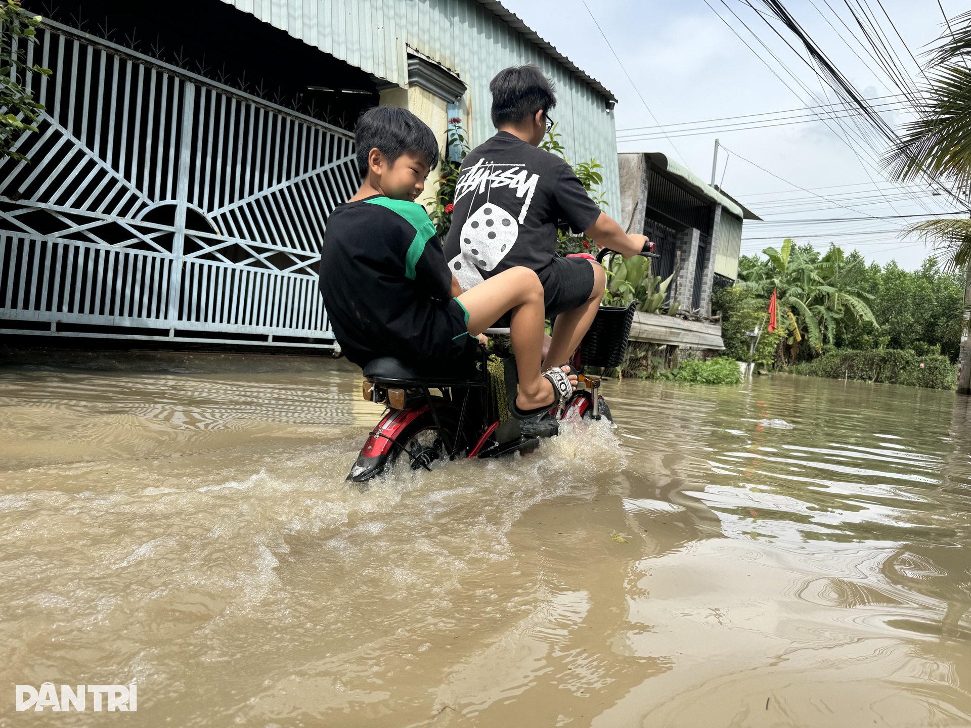 Mưa từ sáng đến chiều, nhiều đường ở trung tâm Đồng Nai ngập sâu - 2 Mưa từ sáng đến chiều, nhiều đường ở trung tâm Đồng Nai ngập sâu - 2