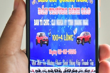 Cuộc thi chim chào mào với giải thưởng 2 ô tô, 38 xe máy