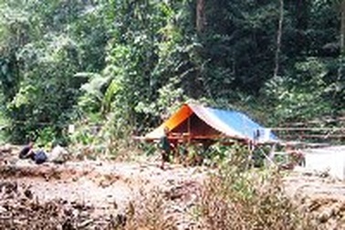 Ráo riết truy tìm các đối tượng giết hại 5 phu trầm dã man