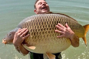 Đi chơi cùng bạn bè, người đàn ông câu được con cá gần 48kg