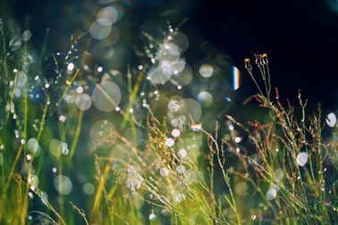 Mẹ đi lấy chồng