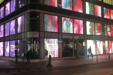 Tiêm màu vào màng xốp bong bóng để tạo thành… nghệ thuật