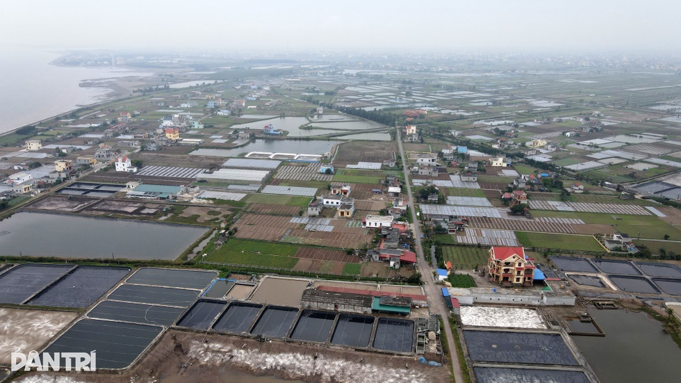 Lão nông bất ngờ thành tỷ phú và câu chuyện đất đai khuấy đảo vùng quê - 2 Lão nông bất ngờ thành tỷ phú và câu chuyện đất đai khuấy đảo vùng quê - 2