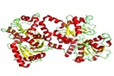 Vai trò của Lactoferin trong dinh dưỡng trẻ em
