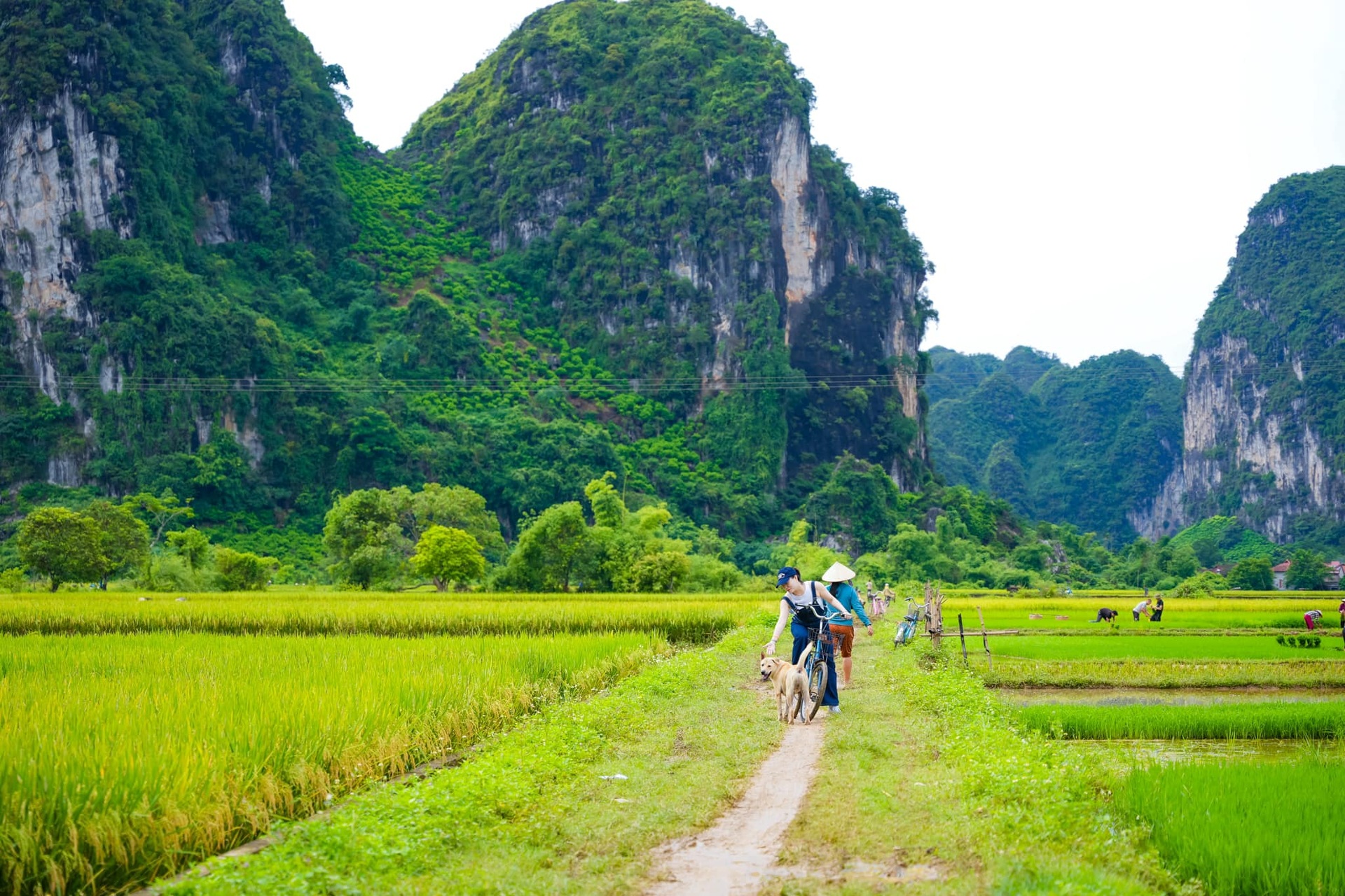 Thảo nguyên cách Hà Nội 2 giờ chạy xe, đẹp như Mông Cổ thu nhỏ - 6