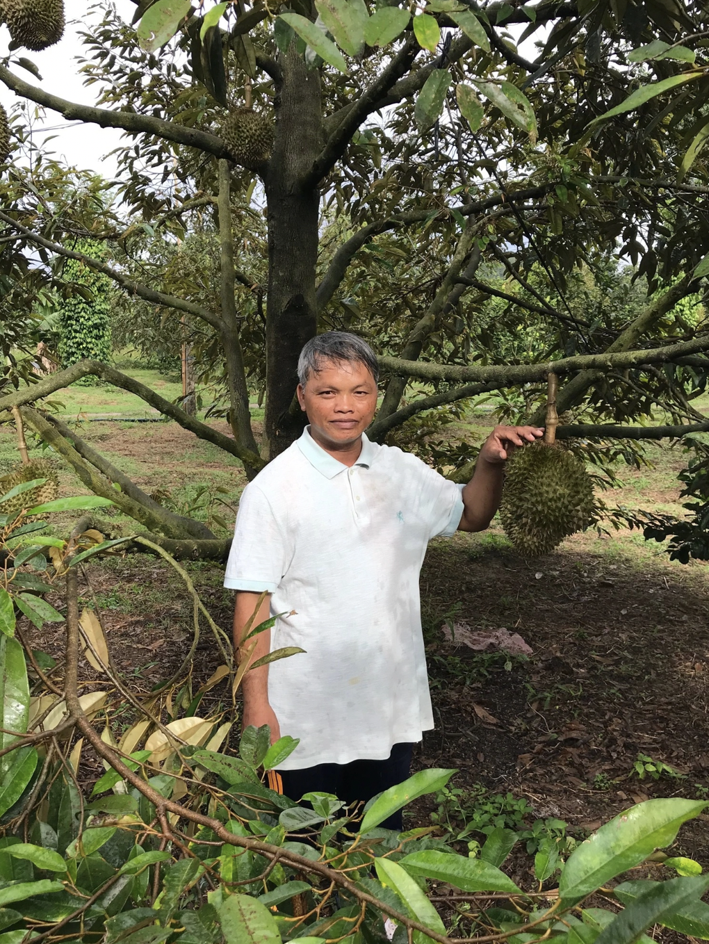 Khánh Hòa: Chú trọng hỗ trợ vùng khó khăn, hộ nghèo phát triển sản xuất - 1 Khánh Hòa: Chú trọng hỗ trợ vùng khó khăn, hộ nghèo phát triển sản xuất - 1