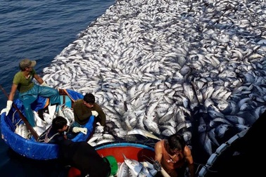 Trúng đậm chưa từng có: Chuyến đi xa đầu năm, thu về 7 tỷ đồng