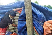 Vụ "vứt xó" hơn 200 tấn xi măng ở Hà Tĩnh: Khởi tố chủ tịch xã