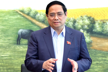 Thủ tướng: "Nhiều thủ tục đất đai làm mất thời gian, mất luôn cả cơ hội"