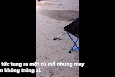 Khoảnh khắc rắn độc rơi ra từ ghế xếp, suýt cắn người leo núi tại Đà Lạt