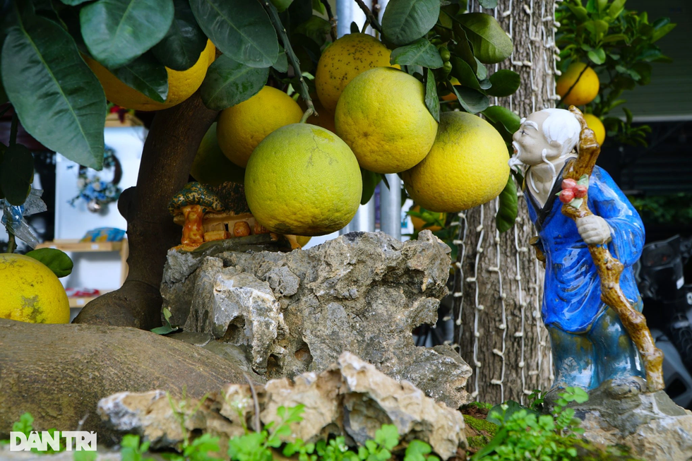 Mâm ngũ quả ngày Tết: Từ phong tục đến những giá trị sức khỏe quý báu - 3