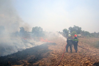 Ngăn chặn nguy cơ gây cháy rừng từ phía Campuchia