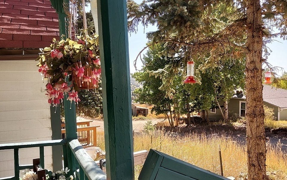 Chồng nổi điên trước bí mật của vợ trong điện thoại - 1