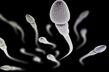 Đánh giá chất lượng tinh dịch nhờ đo tốc độ di chuyển xoay tròn của tinh trùng