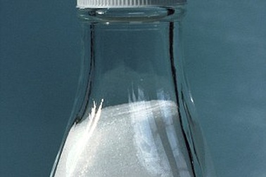 Béo phì là do ăn mặn?