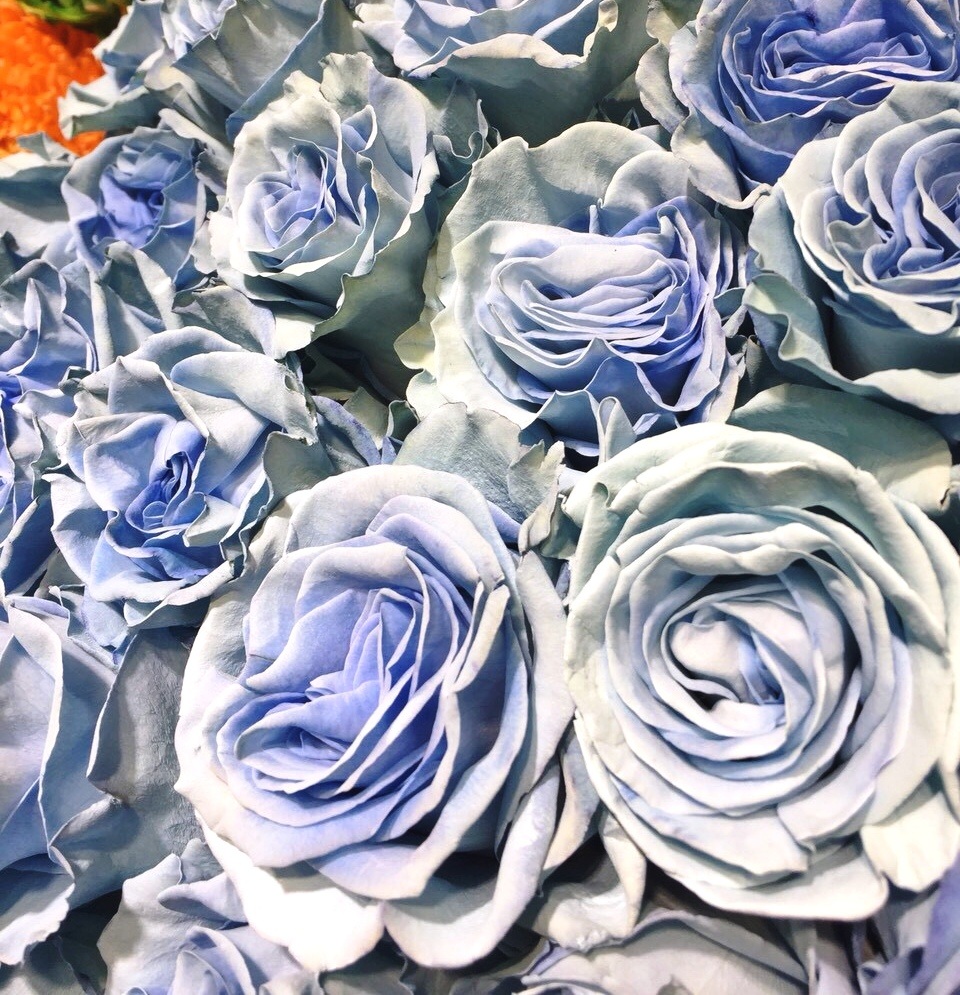 Đại gia chơi trội mua bó hoa 40 triệu đồng tặng bạn gái dịp Valentine - 2 Đại gia chơi trội mua bó hoa 40 triệu đồng tặng bạn gái dịp Valentine - 2