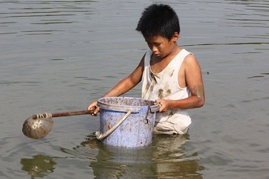 Cậu bé mồ côi ăn ốc bươu vàng thay cơm