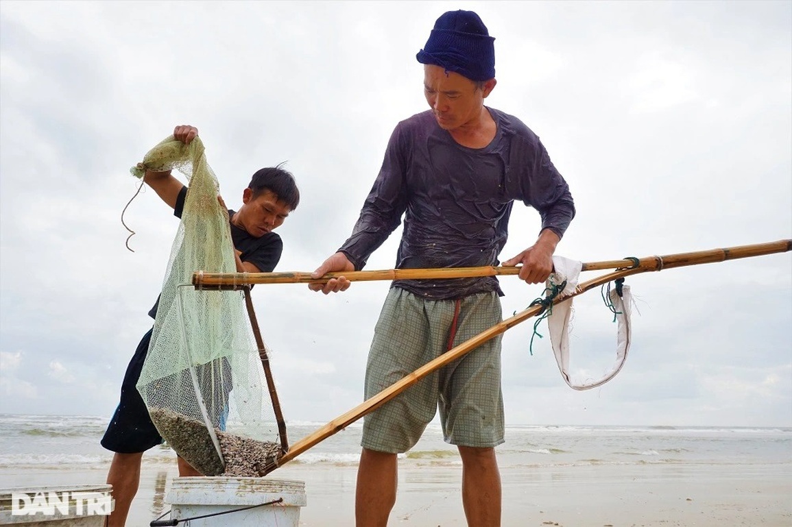 Gần Tết, ngư dân rủ nhau lội ngược sóng, lọc cát thu lộc biển - 18 Gần Tết, ngư dân rủ nhau lội ngược sóng, lọc cát thu lộc biển - 18