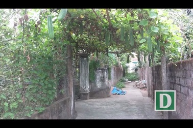 Thương người vợ liệt sĩ nhà báo.