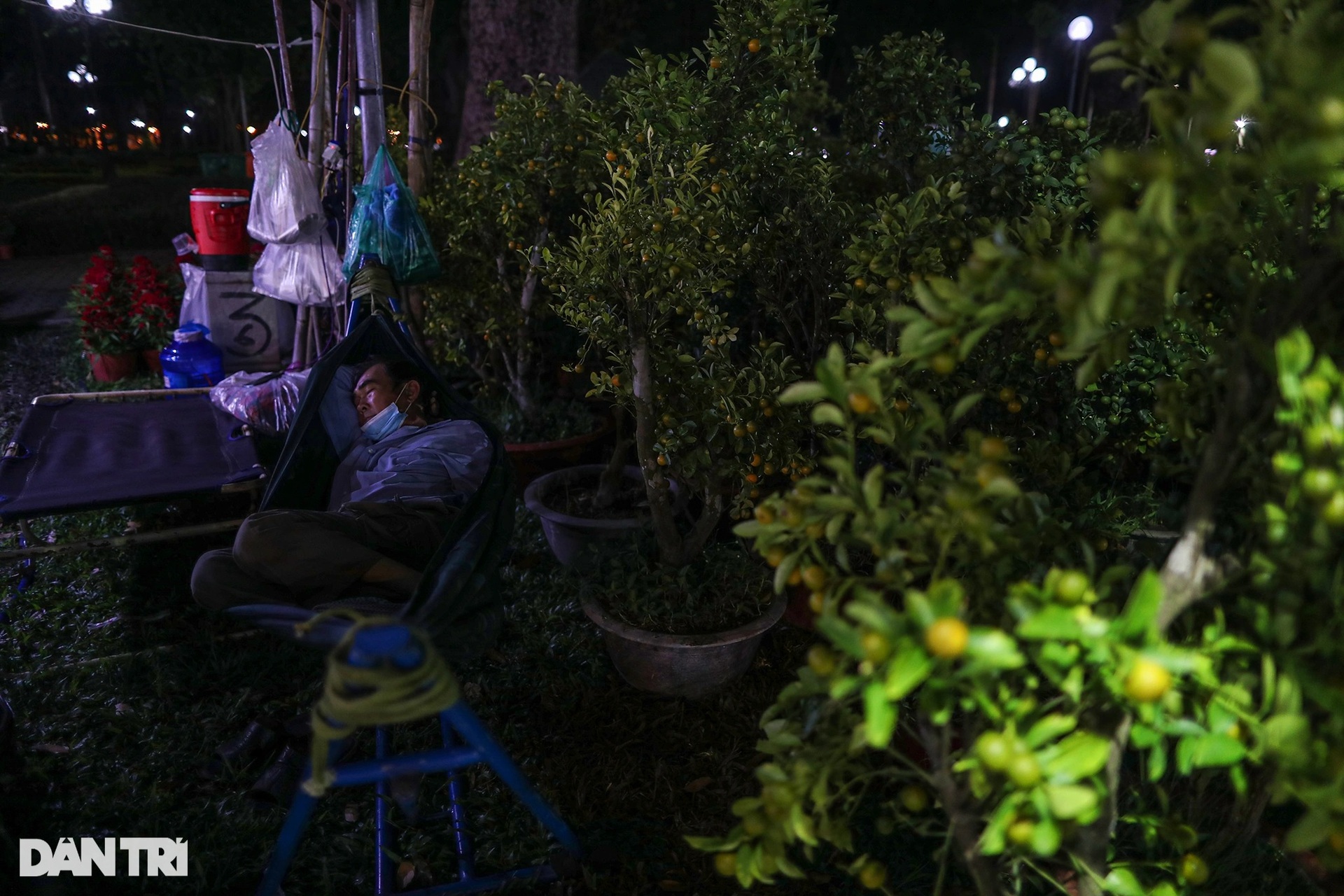 Người bán hoa mắc màn, võng... xuyên đêm canh cây cảnh Tết ở TPHCM - 11 Người bán hoa mắc màn, võng... xuyên đêm canh cây cảnh Tết ở TPHCM - 11
