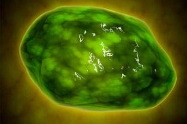 Các hạt nano tấn công điểm yếu của tiêu thể tế bào ung thư