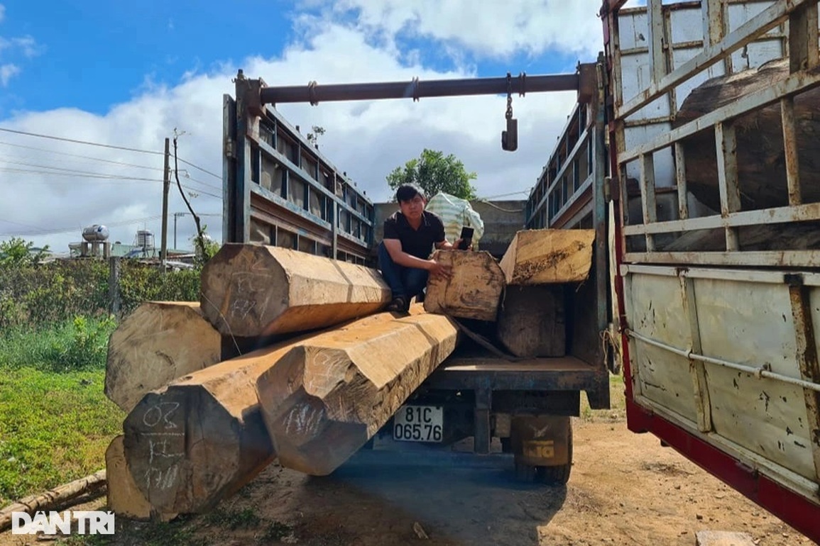 Gác Tết, tham gia cuộc chiến giữ rừng xanh Tây Nguyên - 3 Gác Tết, tham gia cuộc chiến giữ rừng xanh Tây Nguyên - 3
