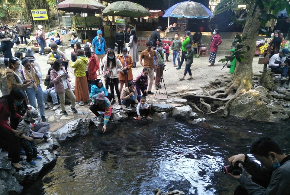 Hàng nghìn du khách chen chân đổ về suối cá thần cầu may dịp đầu năm mới - 2