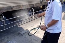 Tập trung chống dịch tả lợn Châu Phi… nhưng không “tẩy chay” thịt lợn