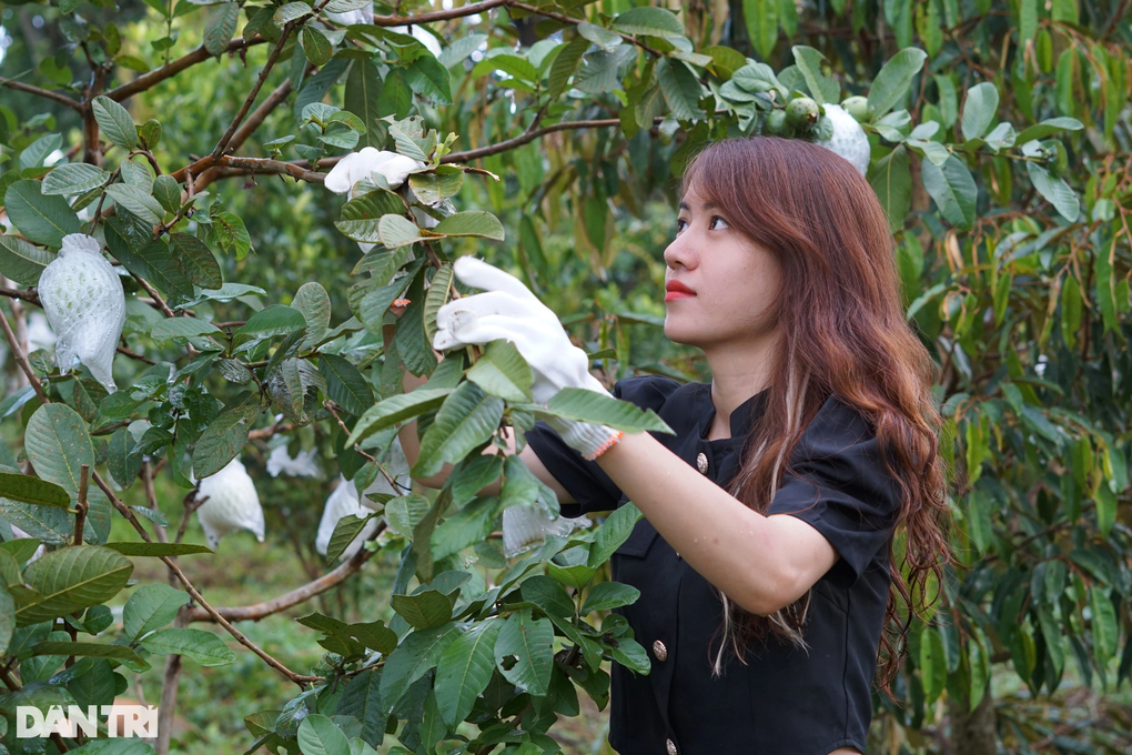 Cô gái 27 tuổi bỏ phố về quê trồng cây, nuôi heo đồng bào - 2 Cô gái 27 tuổi bỏ phố về quê trồng cây, nuôi heo đồng bào - 2