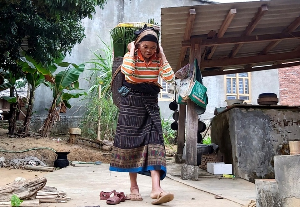 Thanh Hoá: Cận Tết, nhiều cụ bà gần 70 tuổi vẫn băng rừng, lội suối hái lá dong - 4 Thanh Hoá: Cận Tết, nhiều cụ bà gần 70 tuổi vẫn băng rừng, lội suối hái lá dong - 4