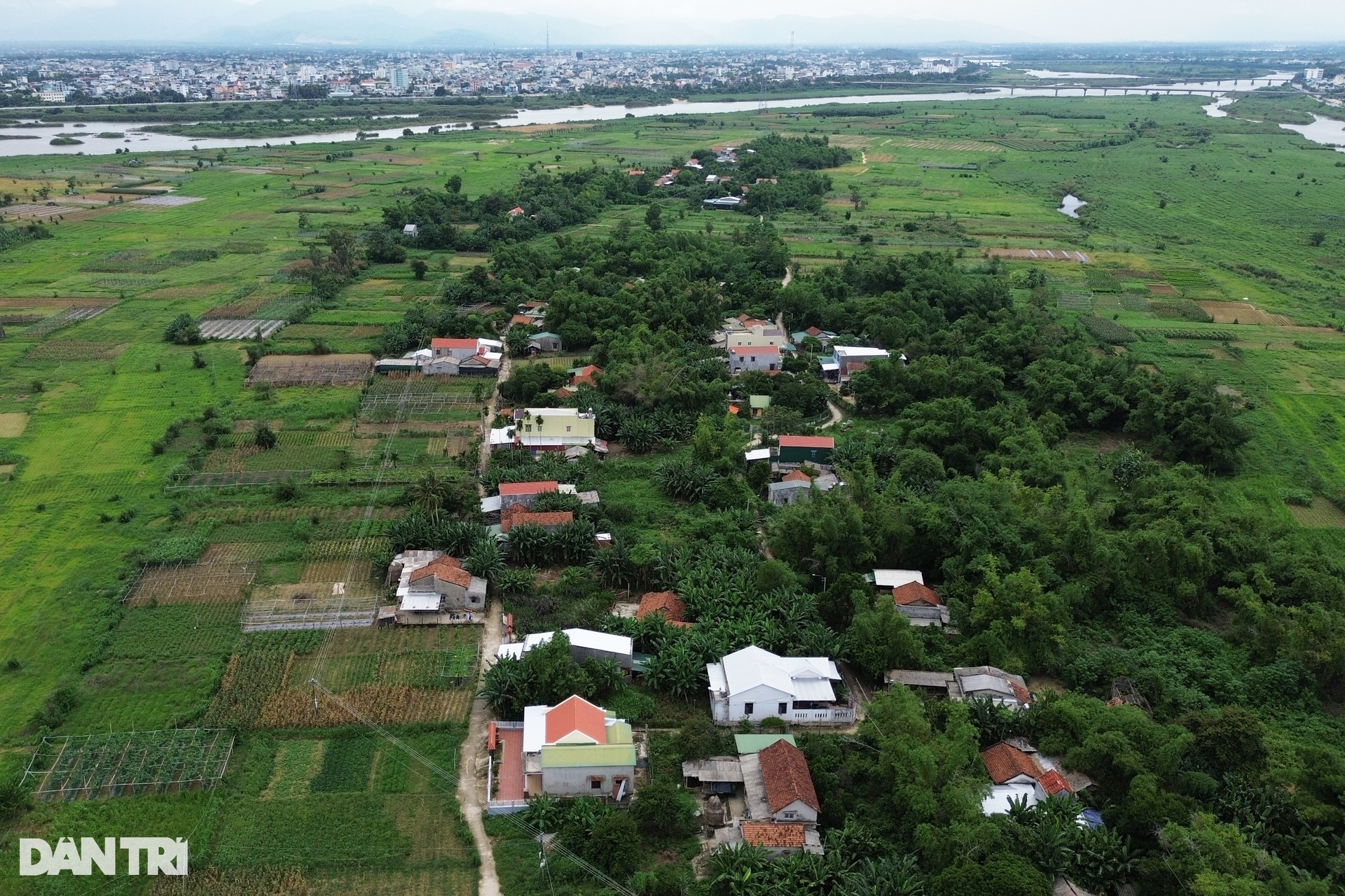 Đất đảo Ngọc ở Quảng Ngãi được tách thửa ồ ạt, chủ tịch tỉnh cũng bất ngờ - 8 Đất đảo Ngọc ở Quảng Ngãi được tách thửa ồ ạt, chủ tịch tỉnh cũng bất ngờ - 8