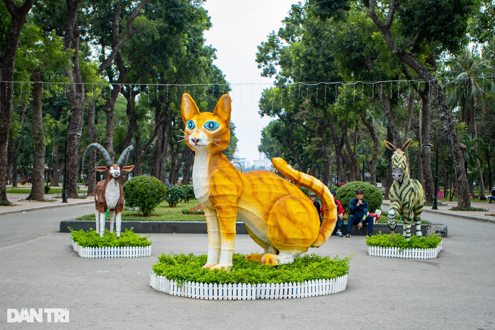 Linh vật mèo lém lỉnh ở Hà Nội lộ diện, người dân thích thú check-in - 10 Linh vật mèo lém lỉnh ở Hà Nội lộ diện, người dân thích thú check-in - 10