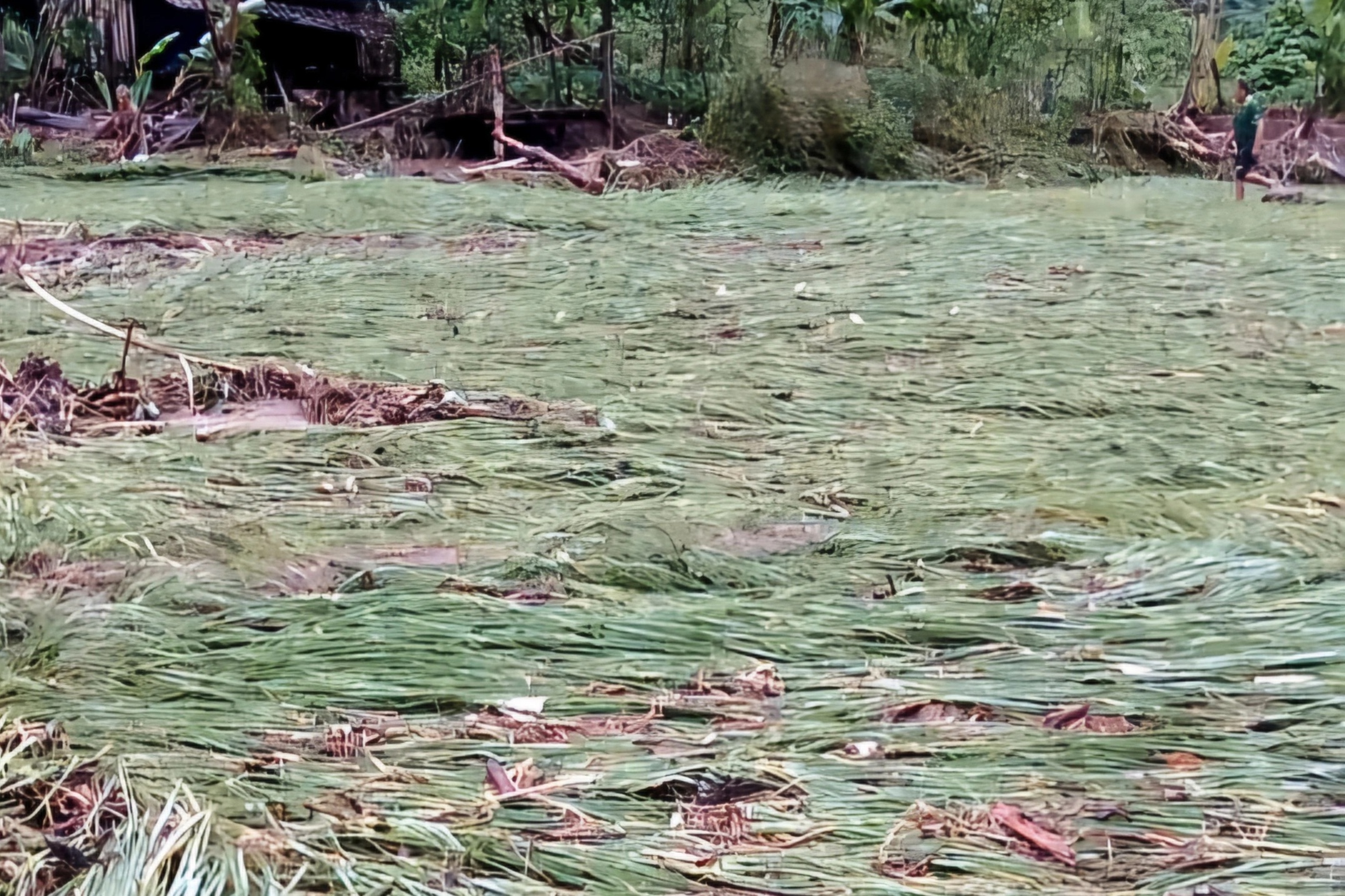 ទឹកជំនន់បំផ្លាញផ្ទះប្រជាពលរដ្ឋអស់ជាច្រើនខ្នងនៅស្រុកព្រំដែន Nghe An - ៥ Mưa lũ tàn phá, vùi lấp nhiều nhà dân ở huyện biên giới Nghệ An - 5