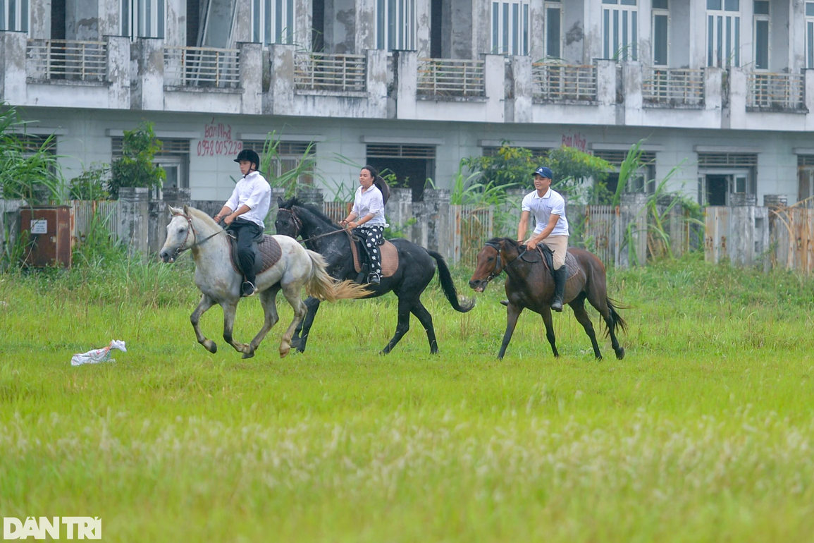 Người Hà Nội rủ nhau học cưỡi ngựa theo phong cách châu Âu - 7 Người Hà Nội rủ nhau học cưỡi ngựa theo phong cách châu Âu - 7