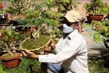 Trắng đêm ở chợ hoa: "4 năm qua, tôi chưa đón giao thừa cùng gia đình"