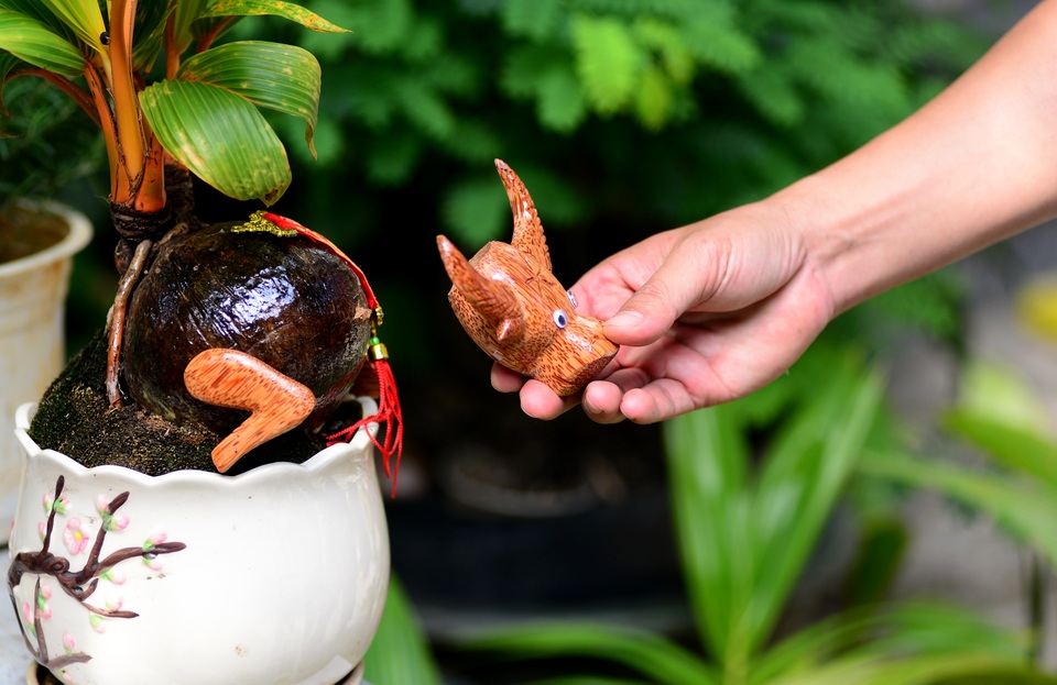 Bonsai dừa hình trâu.jpg Bonsai dừa hình trâu.jpg