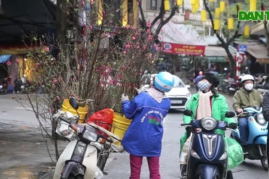 Độc đáo thú chơi hoa đào rằm tháng giêng của người Hà Nội