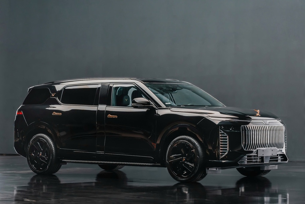 Chất Việt trên mẫu xe Lạc Hồng 900 LX của VinFast - 1