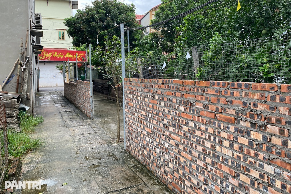 Hà Nội: Không tháo dỡ công trình vi phạm, hộ dân trồng thêm cây chắn ngõ - 1 Hà Nội: Không tháo dỡ công trình vi phạm, hộ dân trồng thêm cây chắn ngõ - 1