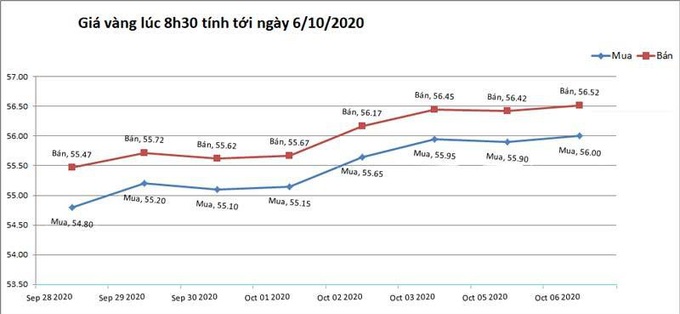 Giá vàng trong nước biến động nhẹ - Ảnh 1.