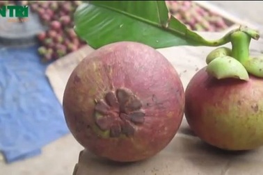 Về Lái Thiêu thưởng thức đặc sản tiến vua