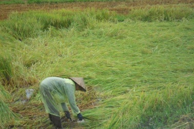 Bão qua, người dân thở phào nhẹ nhõm