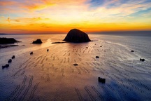 Cảnh bình minh tuyệt đẹp ở Hòn Yến "đốn tim" du khách