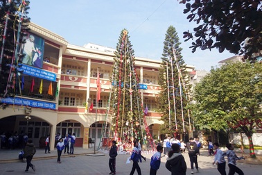 Học sinh trường cấp 2 tại Hà Nội trang trí cây thông Noel “siêu to khổng lồ”