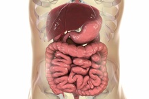 Một số vi khuẩn đường ruột có thể làm tăng nguy cơ ung thư ruột